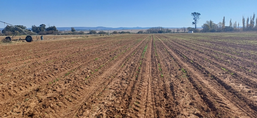 3 Bedroom Property for Sale in Klerksdorp Rural North West